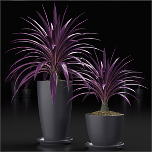 PLANTS_16